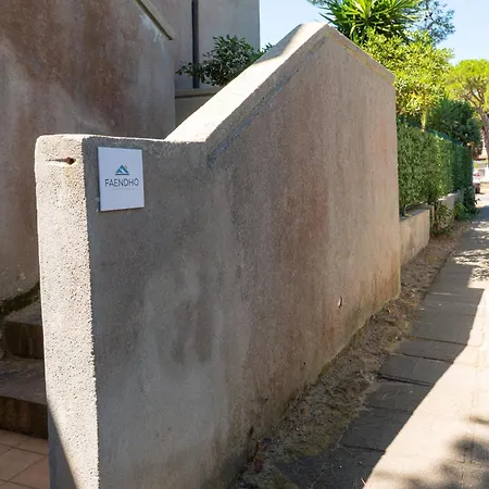 - Platamo * 普拉塔莫纳