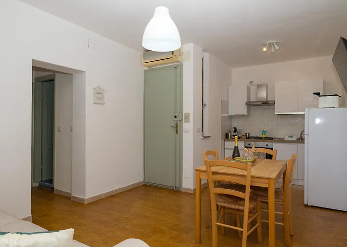 - Platamo * 普拉塔莫纳