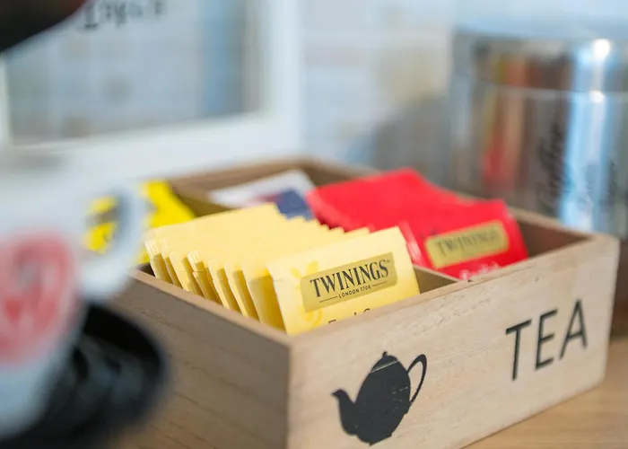 - Platamo 度假居 *