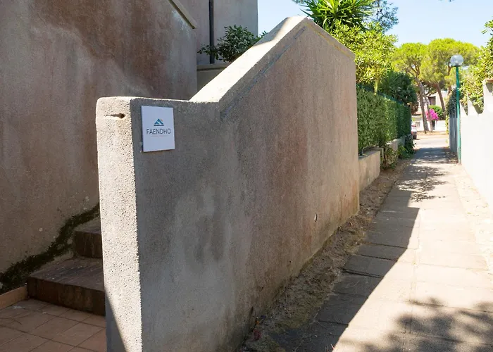 - Platamo * 普拉塔莫纳