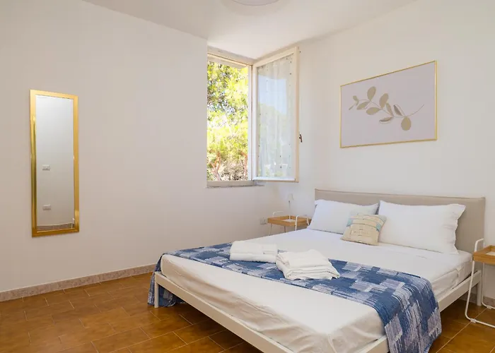 - Platamo * 普拉塔莫纳